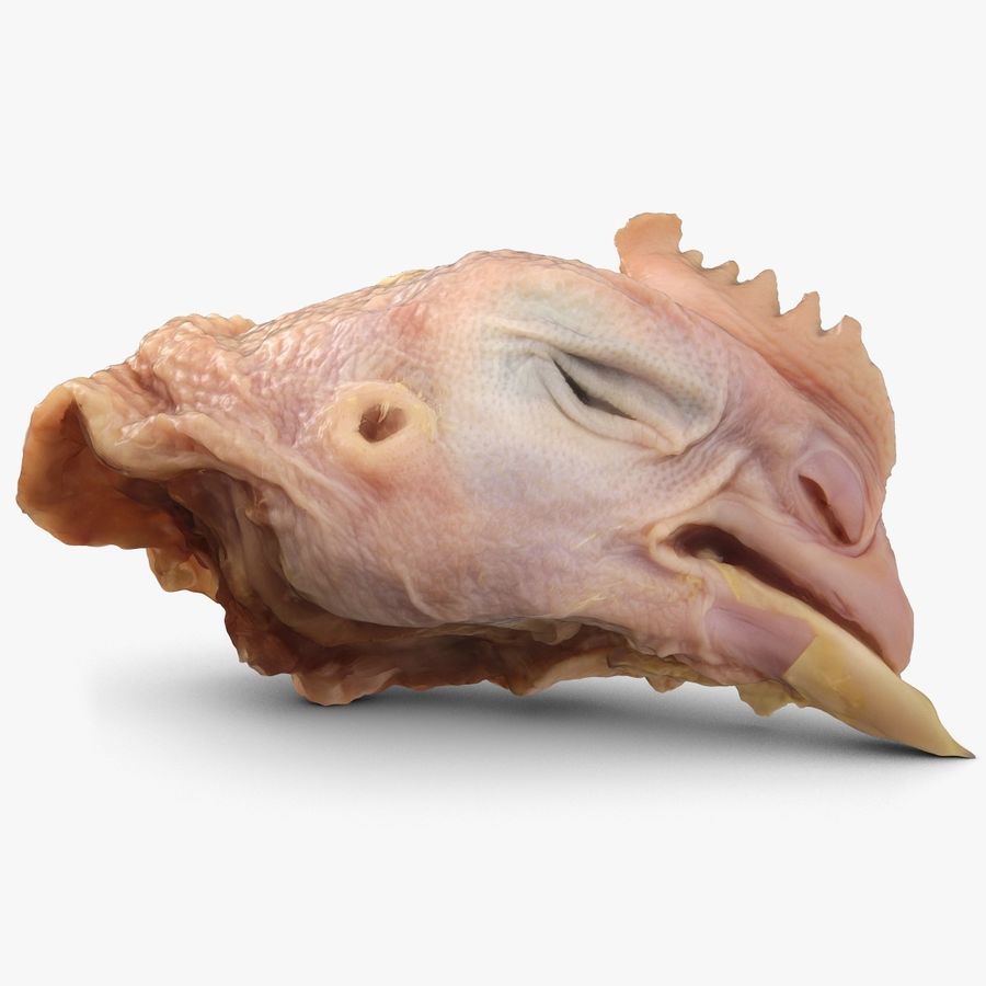 muerto el pollo en la cabeza animal de aves cresta muertos alimentos carne modelo raw shiva3d 3D print model - Mito3D