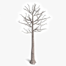 dead tree 3 abramsdesign bark branch bushes fantasy foliage forest game horror leafless lower model nature old plant poly ready root scary trunk video winter 3d print model - Mito3D