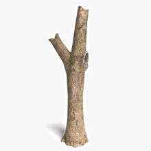 dead tree 4 abramsdesign bark branch broken bushes foliage forest game horror leafless lower model nature old plant poly ready root stump trunk video winter 3d print model - Mito3D