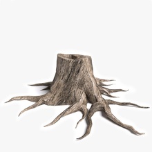 dead tree stump 2 abramsdesign bark branch bushes fantasy foliage forest game horror leafless lower model nature old plant poly ready root scary trunk video winter 3d print model - Mito3D