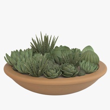 deco pot 203 bin boarini bol cactus le conteneur déco décorative plat la sécheresse l'extérieur plante d'intérieur paysage de modèle image l'usine jardinière poterie prise courant petite succulente tolérant xeriscape 3d print model - Mito3D