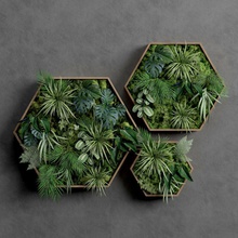 beşgen moss set dekoratif mimarlık tasarım kulak fil çim yeşil ev iç yaprak canlı model monstera olyakrushelnytska19 bitki sahne ayarlayın küçük dikey duvar 3d print model - Mito3D