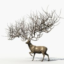 cervi dio animale collezione fantasia modello la scultura statua winjvlee 3d print model - Mito3D