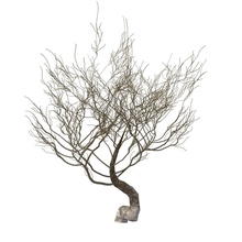 deserto albero secco cespugli ducky modello la pianta casuale spooky sfortunati 3d print model - Mito3D