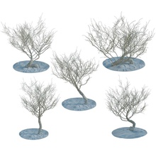 desert dry trees bushes collection cartoon ducky fantasy model plant random small tree unlucky 3d print model - Mito3D