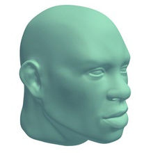 le désir de l'expression faciale, v1 visage personnes imprimable lowpoly 3d print model - Mito3D