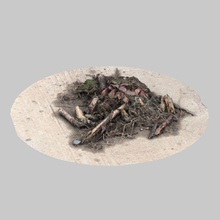 dirt pile max model nature photoreal plant realistic realstuff3d scan vray 3d print model - Mito3D