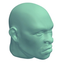 disgusted facial expression v2 people printable lowpoly 3d print model - Mito3D