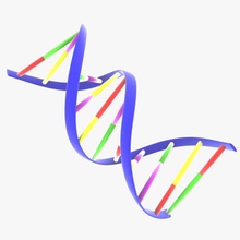 dna ribbon anatomy bacteria biology body cell doctor enzymes human laboratory medical medicine michaeltaylor3d micros model organism pathogen protein protist reaction science virus 3d print model - Mito3D