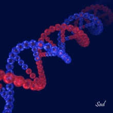 la struttura del dna adenina l'anatomia artstudio biologia cell cg collezione citosina darwin il gene guanina elica umana medico modello molecola nucleo schematico scienza strand timina 3d print model - Mito3D