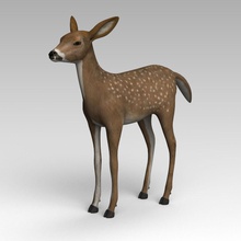 doe 3d gezgin hayvan antelope artiodactyl ahır ayı biyoloji geyik kulak elk göz çiftlik keçi yelesi boynuz at model dağ koyun yün 3d print model - Mito3D