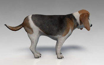 Hund Tier Architektur beagle canine Elemente jasenluxchambers Modell Haustiere 3d print model - Mito3D