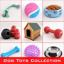dog toys collection animal backyard balls bone bowl cat food house kennel kibble kong model outdoor pets rope rubber spiked toy visualdestination water 3d print model - Mito3D