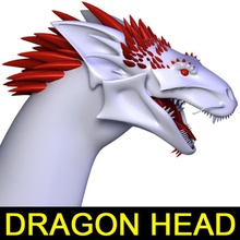 der Kopf des Drachen 2012 alien Tier Knochen Charakter Dinosaurier dragon fantasy iguana leo3dmodels die Eidechsen Modell monster raptor realistisch sind Reptilien Untoten 3d print model - Mito3D