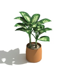 dumb cane low poly indoor plant 3d architecture dieffenbachia elements garden house lobby lower model priyatnadp small tropical 3d print model - Mito3D