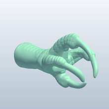 eagle piedi v1 aquila animali stampabile lowpoly 3d print model - Mito3D