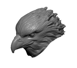 eagle head 3d america animal architecture bas bird bust elements figurine fly freedom geometry interior lucky hunter 2008 model prey relief sculpture scult sculting statue symbol vray 3d print model - Mito3D