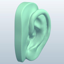 ear v1 anatomy printable lowpoly 3d print model - Mito3D