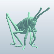 oriental saltamontes v1 de proa los insectos imprimible lowpoly 3d print model - Mito3D