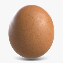 de huevo animal aves el punto ebullición desayuno brown pollo alimentos modelo orgánica la proteína raw shiva3d 3d print model - Mito3D