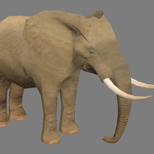 elephant - lowpoly africa animal game model seth2200 3d print model - Mito3D