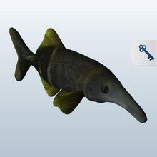 elephant fish mormyridae v1 aquatic life printable lowpoly 3d print model - Mito3D