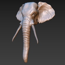 tête d'éléphant 3d 3dprinter animal de la conception éléments l'éléphant salut les mammifères modèle nature poly imprimable imprime sculpter statue vinrax sauvage 3d print model - Mito3D