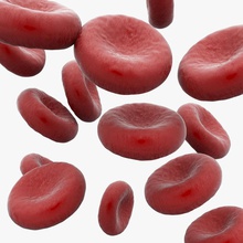 Erythrozyten rote Zelle Anatomie Biologie Blut Körper Charakter haematids Mensch die medizinische Medizin micros Modell rot Wissenschaft stubborn3d 3d print model - Mito3D