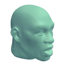excited facial expression v2 people printable lowpoly 3d print model - Mito3D