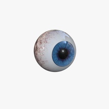 les yeux boll 3d des avions en avion l'anatomie la cornée de l'œil globes oculaires l'homme l'iris lentille modèle personnes pupille réaliste sclérotique vision zerg lurker 3d print model - Mito3D