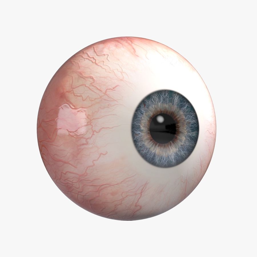 globo ocular la anatomía cuerpo carácter córnea ojo los globos oculares de cara humanos iris modelo picturefactory alumno esclera 3D print model - Mito3D