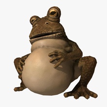 fat frog rig 3d Amphibien Tier animation Charakter Fett Frosch Spiel hight PS jumper niedrigere lowpoly lp Modell pbr photoreal poly pryxas bereit real Reptilien Zeit Kröte 3d print model - Mito3D