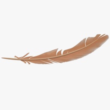 feather 3d 3ds amaranthus animal bird cartoon dishevel down fbx featherbird fly ma max model obj stylized texture toon vray wild wing 3d print model - Mito3D