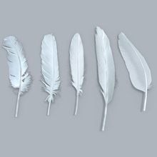 feathers animal bird ez3d feather model organic swan white wing 3d print model - Mito3D