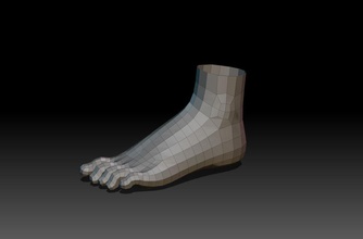 pies la anatomía cuerpo bruno maremonti carácter las extremidades pie humanos modelo 3d print model - Mito3D
