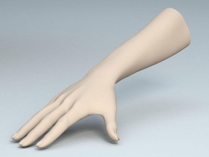 female arm anatomy body character extremities finger forearm girl hand human limbs model natural people person realistic syol thumb woman 3d print model - Mito3D