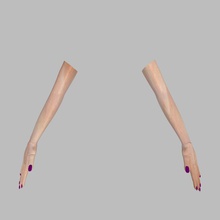 female arms hands anatomy arm body brazo brazos carrara1 character extremities finger girl hand human lady limbs model nail people realistic woman 3d print model - Mito3D