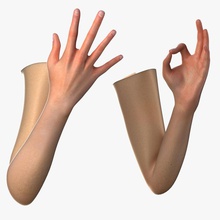 female arms anatomy arm body character extremities finger hand human libertyone limbs model nail people realistic skin woman 3d print model - Mito3D