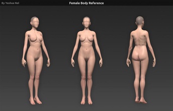 corpo feminino de referência 3d anatomia artista o personagem baixar garota mão pintados à humanos senhora modelo nel pintado a venda esculpir stock textura uv mulher yeshua yeshuanel 3d print model - Mito3D