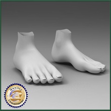 weibliche Füße 4d-Gehirns Anatomie bare Körper Charakter Extremitäten weiblich Fuß Mädchen Mensch lady Beine Gliedmaßen Modell Bio Teile realistisch sind Zehe Frau 3d print model - Mito3D