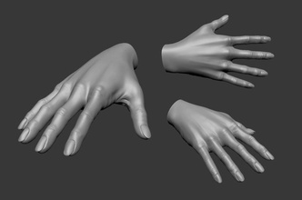 female hand 3d adult anatomy body character finger fist girl human lady limbs mesh model nail palm patrickart90 people realistic skin tool woman wrist 3d print model - Mito3D