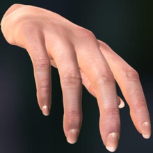 female hand anatomy body bone character extremities finger girl human limbs male model muscle nail osbourne ozzy palm people person pores rig skin woman wrist 3d print model - Mito3D