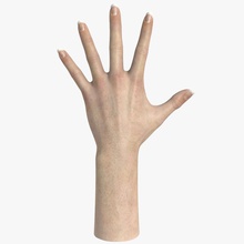 female hand textured 3d anatomy arm body c4d character extremities finger game girl human lady limbs lwo map max maya model palm people realistic studios texture tutorials windtrees woman xsi 3d print model - Mito3D