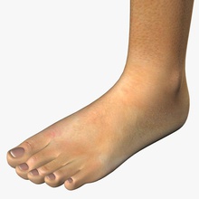 kadın bacak anatomi çıplak vücut karakter dinman3d ekstremitelerde ayak insan bacaklar bacaklarda daha düşük erkek adam model insanlar kişi gerçekçi ayakkabı uyluk 3d print model - Mito3D
