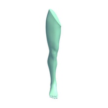 femaleleg v1 la femelle de jambe l'anatomie imprimable lowpoly 3d print model - Mito3D