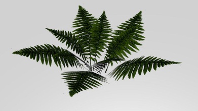 fern b1endman bracken bushes decoration flower forest fps game jungle leaf lower lowpoly model nature plant poly realtime small tree tropical 3d print model - Mito3D