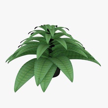 felce v2 fern piante la fauna selvatica stampabile lowpoly impianti di 3d print model - Mito3D