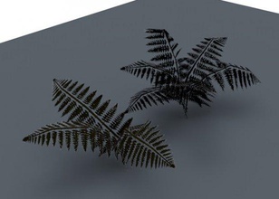 samambaia plantas 3d print model - Mito3D