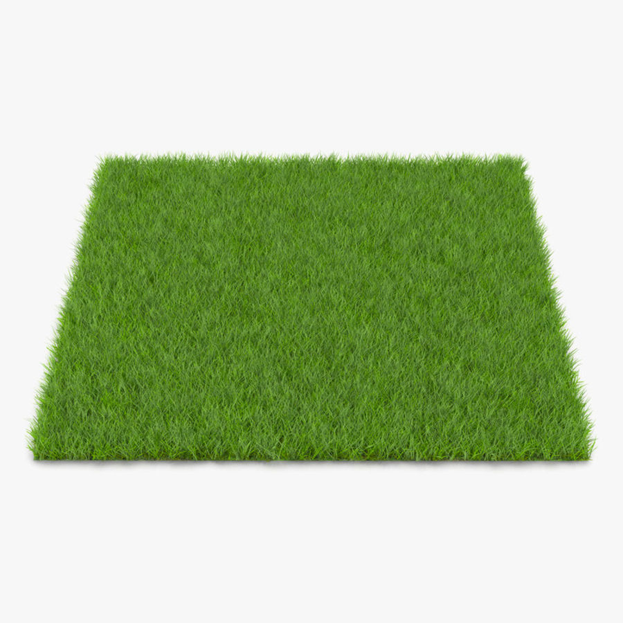 de festuca grama 3d molier 3ds tampa campo chão floresta jardim o verde internacional da terra gramado modelo natureza ao ar livre planta plantação realista estrada temporada pequena solo terreno vray aquecido 3D print model - Mito3D