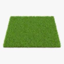 fescue grass 3d molier 3ds cover field floor forest garden green ground international land lawn model nature outdoor plant plantation realistic road season small soil terrain vray warm 3d print model - Mito3D